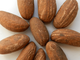 Viber/ About the product Fresh Bitter kola Bulk Garcinia