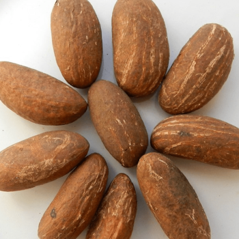Viber/ About the product Fresh Bitter kola Bulk Garcinia Wholesale Price Researches in modern science have revealed that bitter kola contains chemical