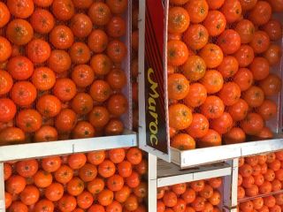 "AGRUMCO is a Family Business, Located In The City
