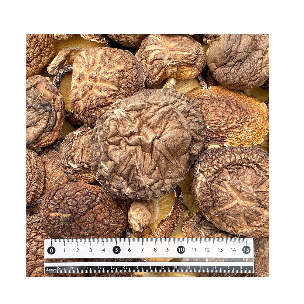 bulk natural fresh whole meaty air-dried mushroom export price
