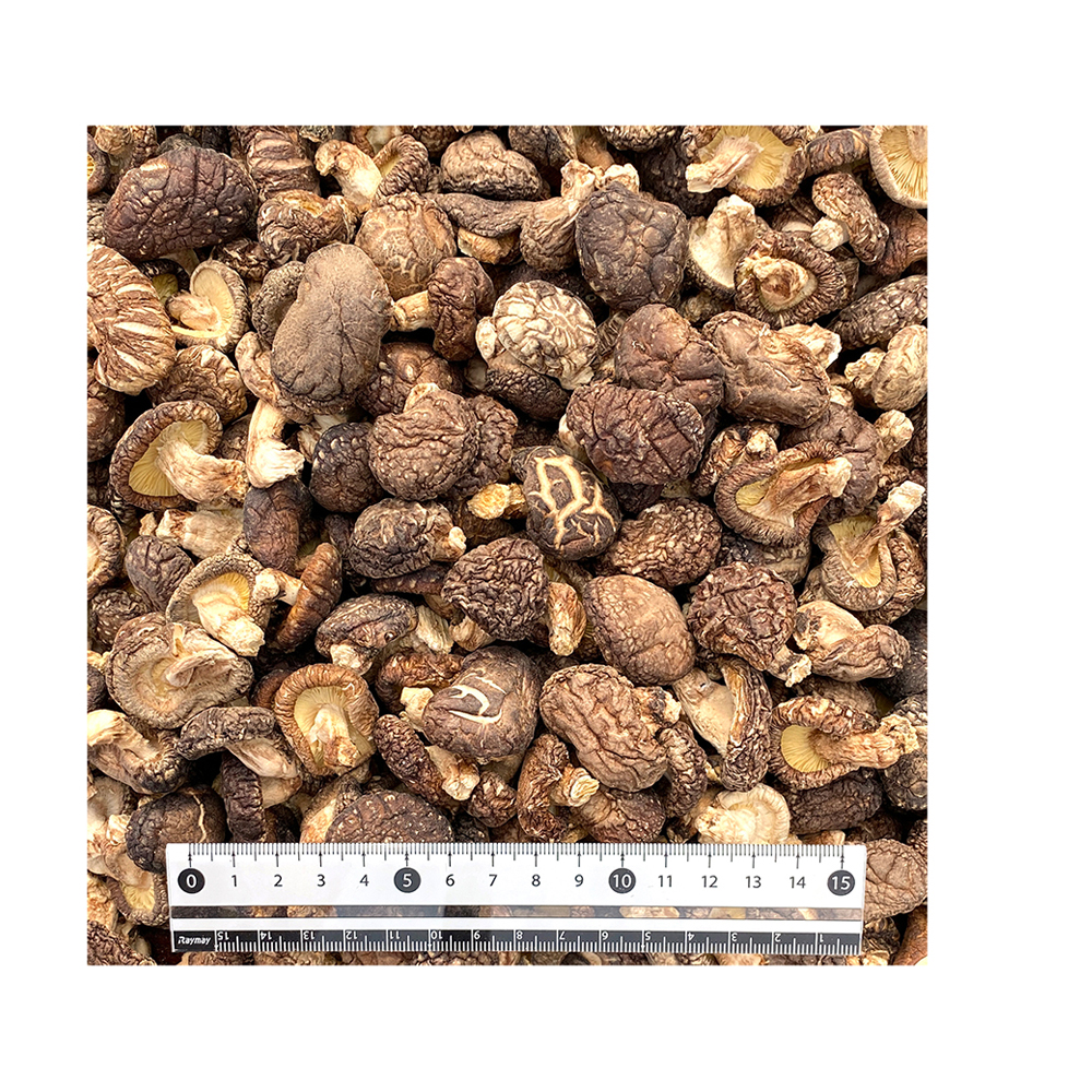 dried natural thick meaty fresh fungus mushrooms ingredient