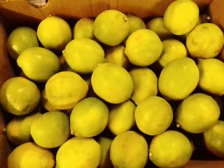 I have 90 tonnes of fresh lemons available from