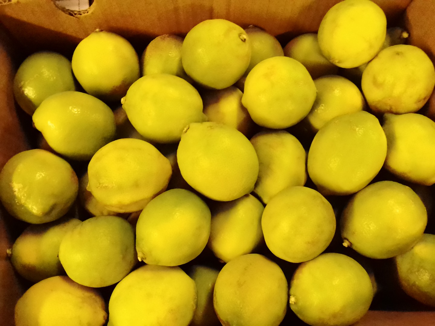 I have 90 tonnes of fresh lemons available from the 1st of May 2021