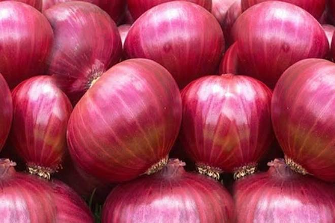 Now we offer fresh : ( Red Onion ) for season 2021-2022 we ready to prepare any quantities