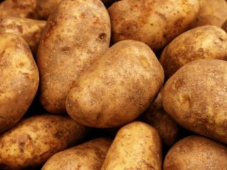 We are having high quality potatoes (russet) for consumption.