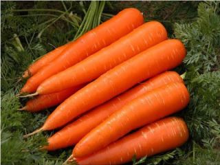 we can provides you large quantity in a short