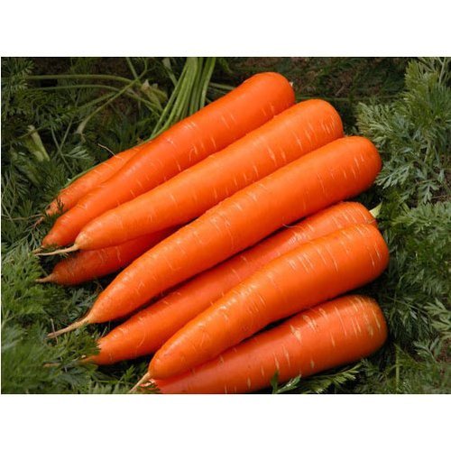 we can provides you large quantity in a short time
