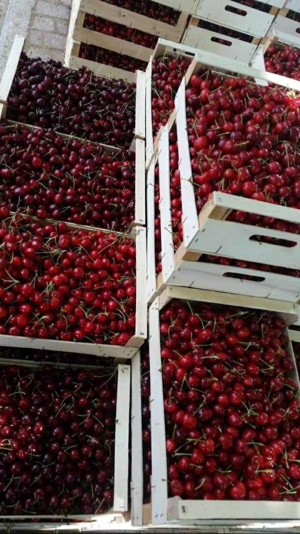 We offer the best prices for cherries at any given time