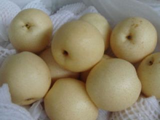 Product name Su Pear Origin place Turkey Brand OEM