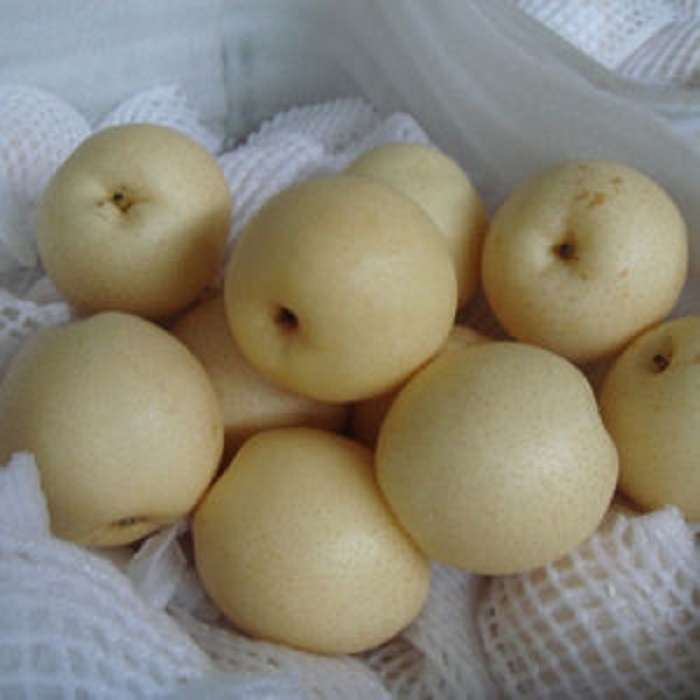 Product name Su Pear Origin place Turkey Brand OEM Storage 0~3 °C Size 18/20/22/24/36/40/44/48/72/80/96 Converance 1*40'FCL Packing 1) Inner packing: