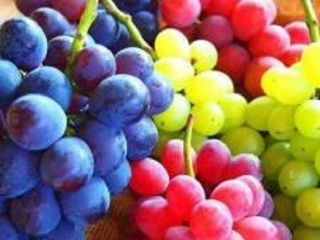 Quality Excellent fruit, Good fruit Color Green Horizontal diameter