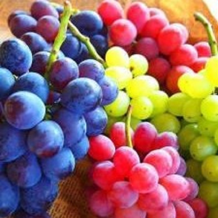 Quality Excellent fruit, Good fruit Color Green Horizontal diameter 1-8cm diameter (some fruits) Warranty period 1-100 days Country of origin Turkish provinces
