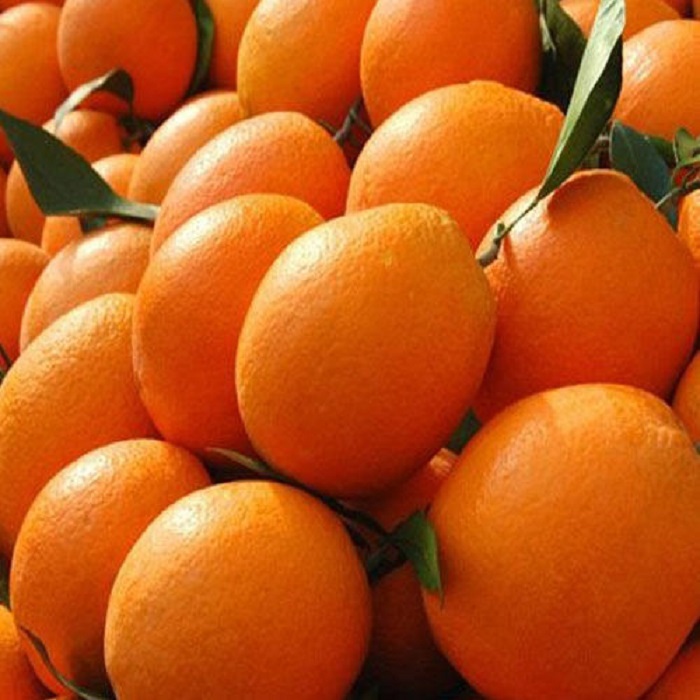 item value Style Fresh Product Type Citrus Fruit Type Orange Cultivation Type COMMON Color orange Certification Global Gap and ISO9001 Grade A Maturity %100