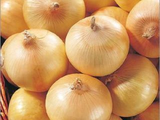 itemvalue Style Fresh Type Onion Product Type Liliaceous Vegetabless