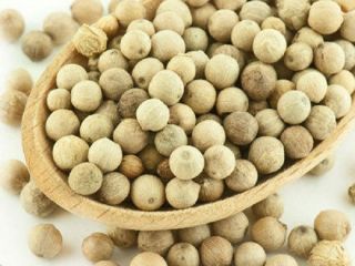 Product Name White Peppercorns Botanical Name Fructus piperis albi