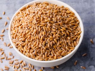 Food wheat Protein – min. 12.5 / 11.5%; gluten
