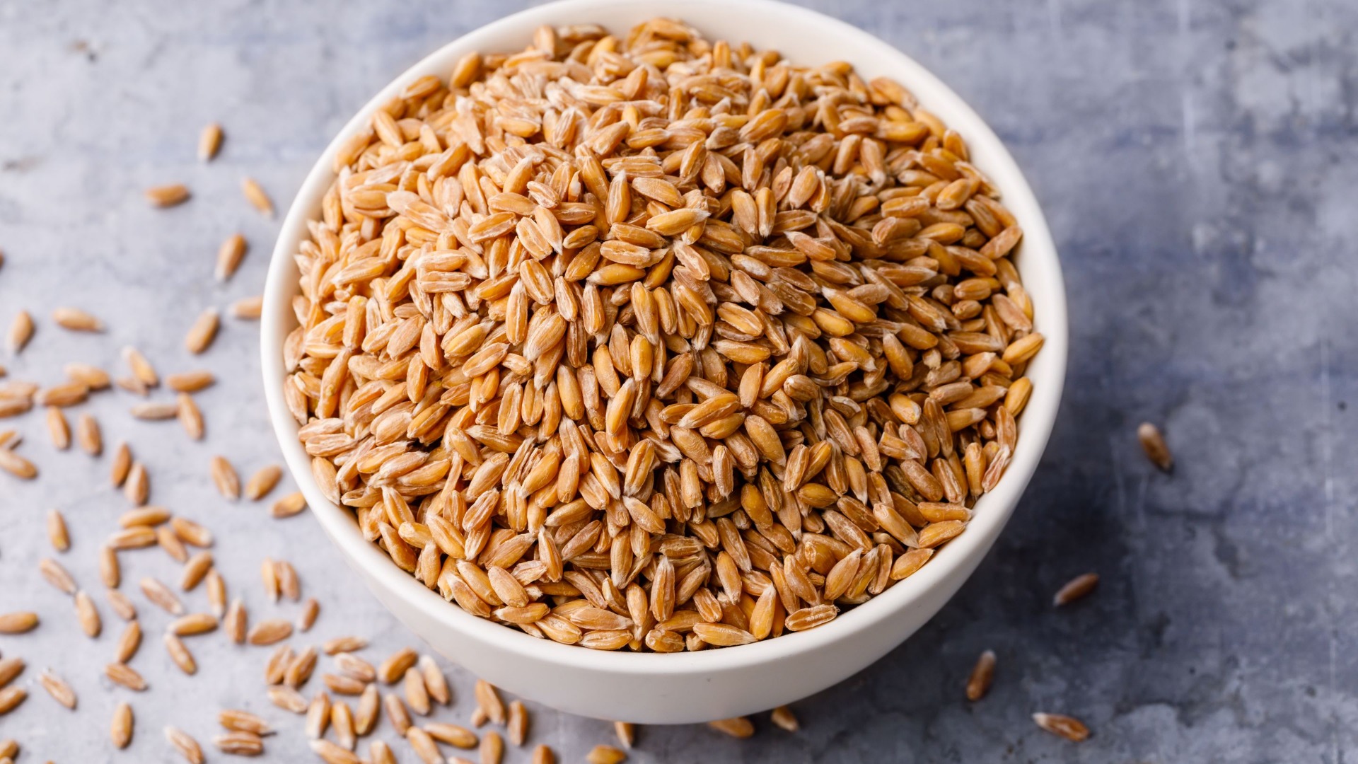 Food wheat Protein – min