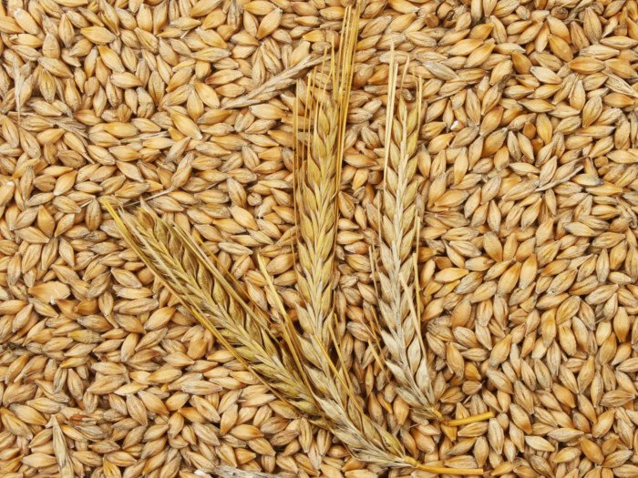 Barley Moisture – max