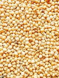 Red / white sorghum Moisture – max