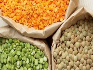Green / red lentils Moisture – max. 13.5%; trash