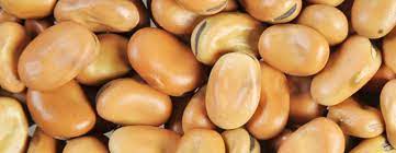 Beans (horse) Moisture – max