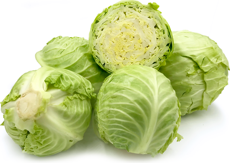 Fresh white cabbage still growing in the field in North Western Turkey