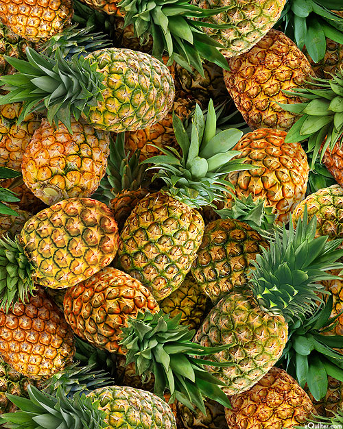 item value Style Fresh Type Pineapple Product Type Tropical & Sub-Tropical Fruit Variety queen Cultivation Type COMMON Size (cm) 17-21 Certification ISO Weight