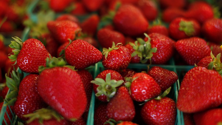item value Style Fresh Product Type Berries Type Strawberry Cultivation Type COMMON Maturity Mature Certification Global Gap Grade A Place of Origin Turkey