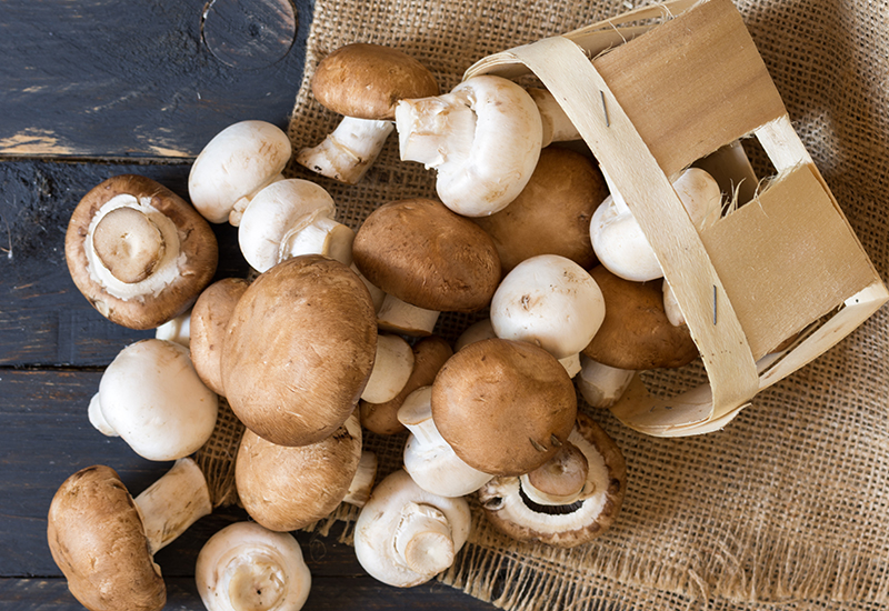 Top Quality Fresh and White Frozen Mushroom Product Name: Fresh And White Frozen Mushroom Specification: whole/slice Package: Outer package: 10kgs carboard