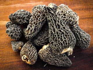 Product Name: IQF frozen summer truffle high quality good