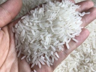 Jasmine rice is a fragrant rice with a short