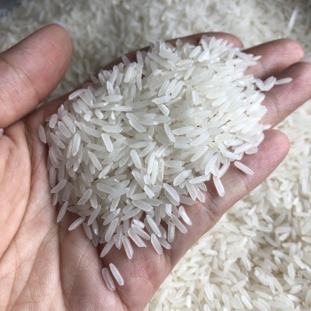 Jasmine rice is a fragrant rice with a short growth time (also called short-term rice)