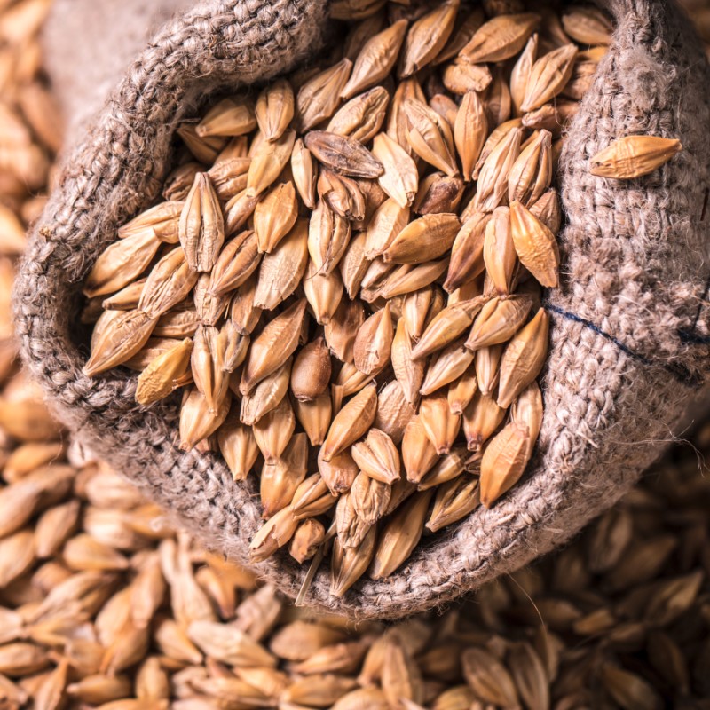 Barley Malt Grain Moisture – max