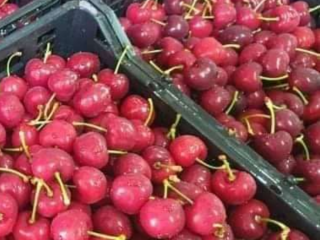 Cherries Fresh Cherries New season I deliver to Poland