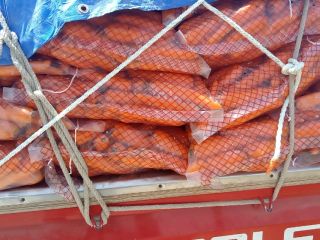 Fresh, juicy carrots. Origin: Egypt. Grown in the sand.