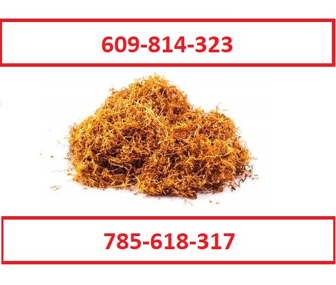 Best quality cigarette tobacco! Extra freebies and promotions for our customers! You will not find stakes, dust or mold with us