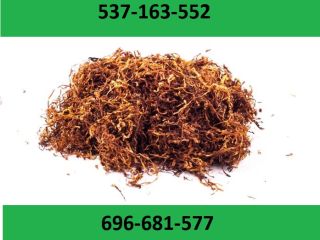Best quality cigarette tobacco! Extra freebies and promotions for