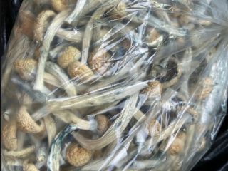 We are suppliers of agricultural products Like Ginger, Garlic,