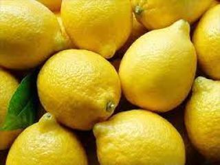 Fresh Grade A Lemons available. Contact via OR Email