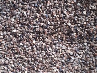 I will sell buckwheat from organic farming, certificate for