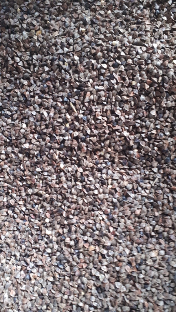 I will sell buckwheat from organic farming, certificate for 2 years of conversion, changed, price per 1 kg