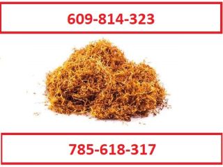 Best quality cigarette tobacco! Extra freebies and promotions for