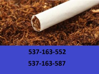 Best quality cigarette tobacco! Extra freebies and promotions for