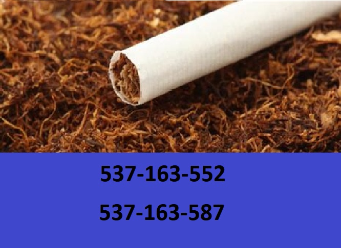 Best quality cigarette tobacco! Extra freebies and promotions for our customers! You will not find stakes, dust or mold with us