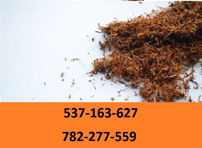 Best quality cigarette tobacco! Extra freebies and promotions for our customers! You will not find stakes, dust or mold with us