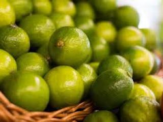 Agric Dynamics Farms offers Grade A Lime. We have