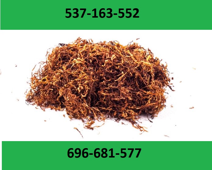 Best quality cigarette tobacco! Extra freebies and promotions for our customers! You will not find stakes, dust or mold with us