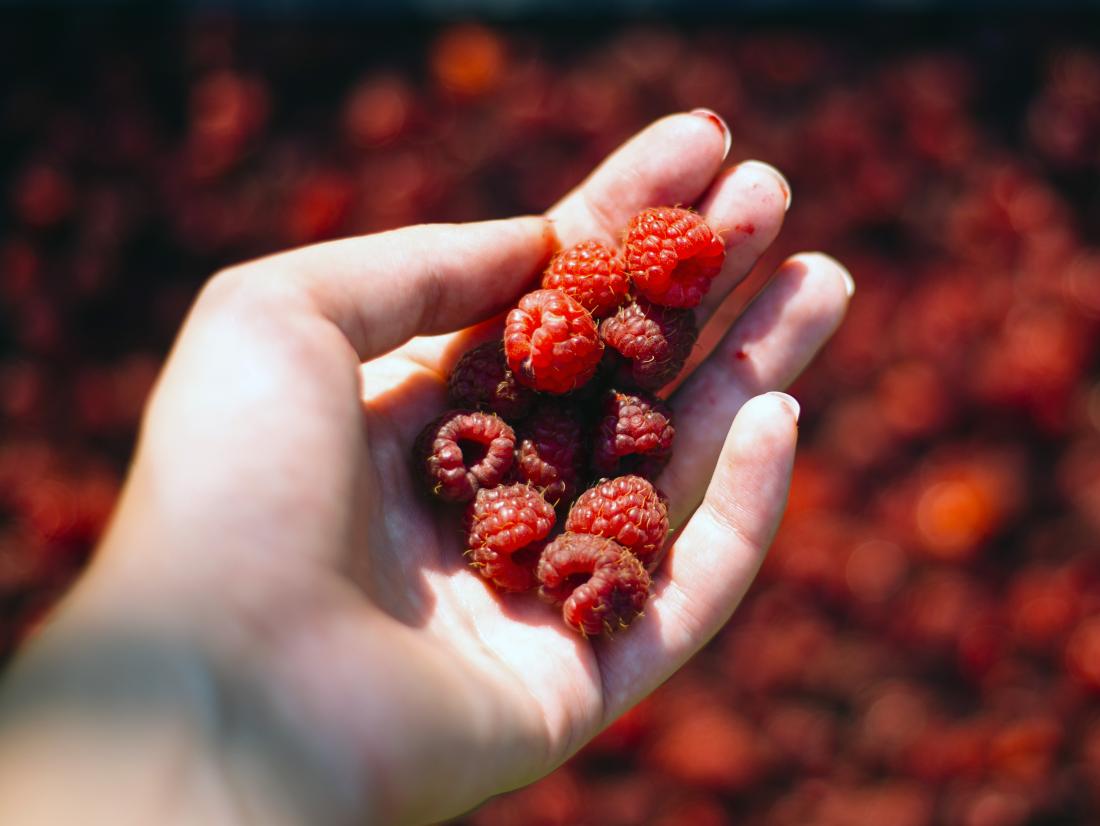 The family organic farm sells the following products: red currant, black chokeberry and raspberry