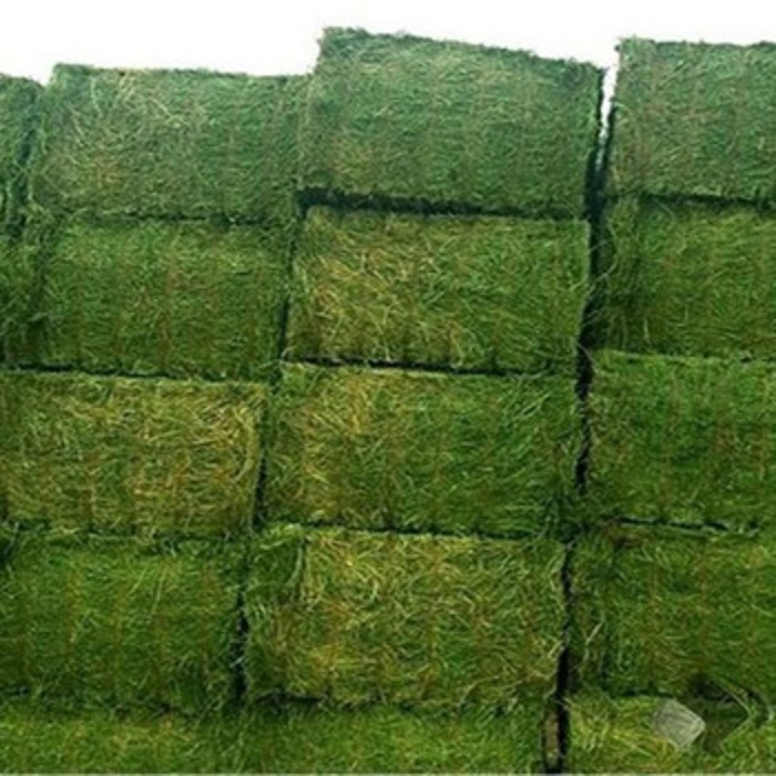 High quality Alfalfa bales Weight: 750 & 800 KG – 400KG (on inquiry) Lengths: 2.20 - 2.30 meters Width: 1 – 1.1 meters Height: 80 meters Protein: Min 17% - Min