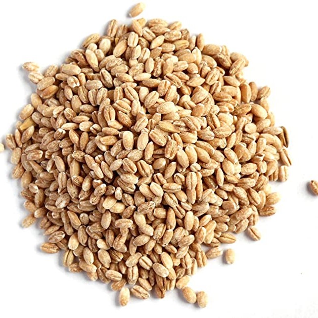 Barley Supply/ Barley for Malt/Barley Feed/ Malted Barley Barley grades; - Malted barley Grade 1 moisture: 13% max protein: 10% min 11.5% max germination